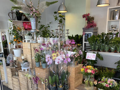 Blumenhaus Rogge - Lotterstrasse