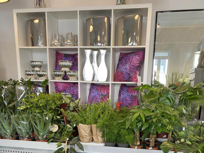 Blumenhaus Rogge - Lotterstrasse