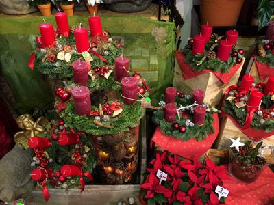 Blumenhaus Rogge - Lotterstrasse