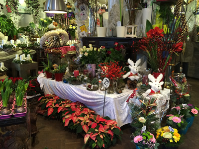 Blumenhaus Rogge - Lotterstrasse