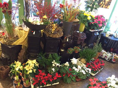 Blumenhaus Rogge - Lotterstrasse