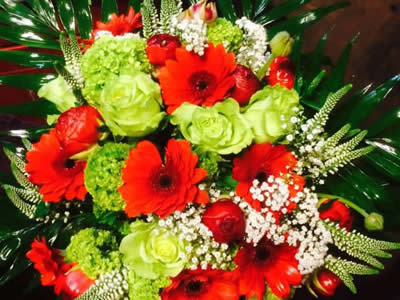 Blumenhaus Rogge - Lotterstrasse