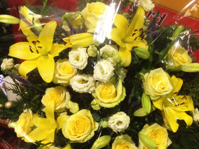 Blumenhaus Rogge - Lotterstrasse