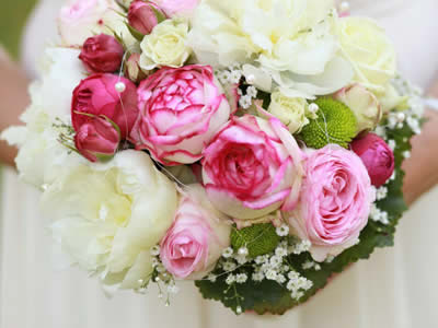 Blumenhaus Rogge - Lotterstrasse