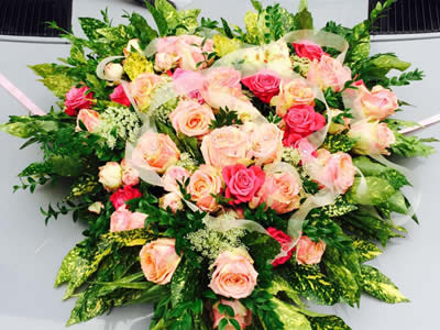 Blumenhaus Rogge - Lotterstrasse