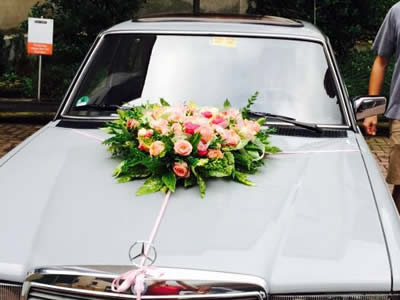 Blumenhaus Rogge - Lotterstrasse