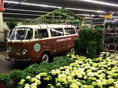 Blumenhaus Rogge - Lotterstrasse